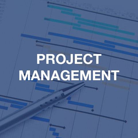 PMI: Organizational Change Management