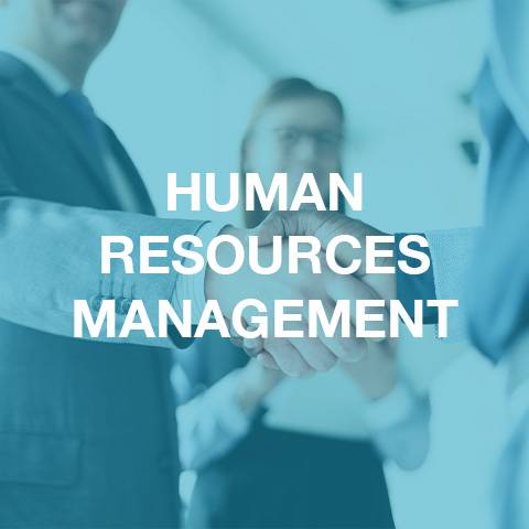 The Entrepreneur's Toolkit: Managing Human Resources